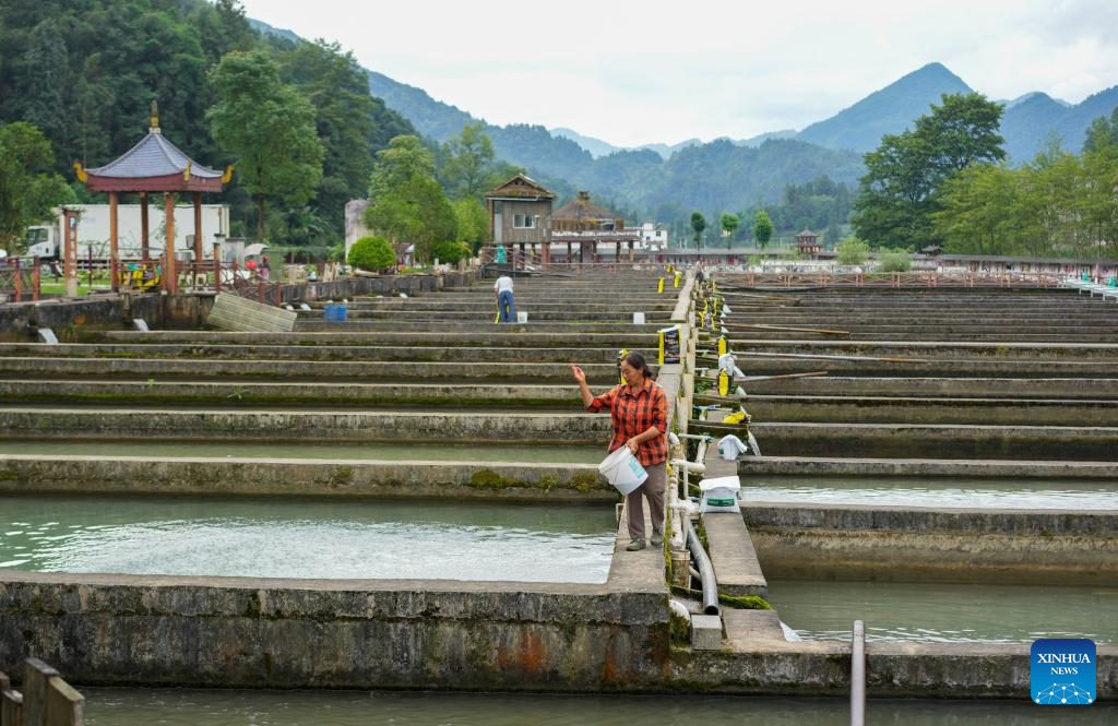 Quyang Village develops cold-water fish breeding in Chongqing