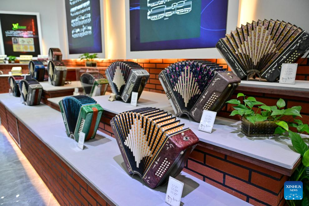 Tacheng City promotes accordion culture, tourism in NW China's Xinjiang