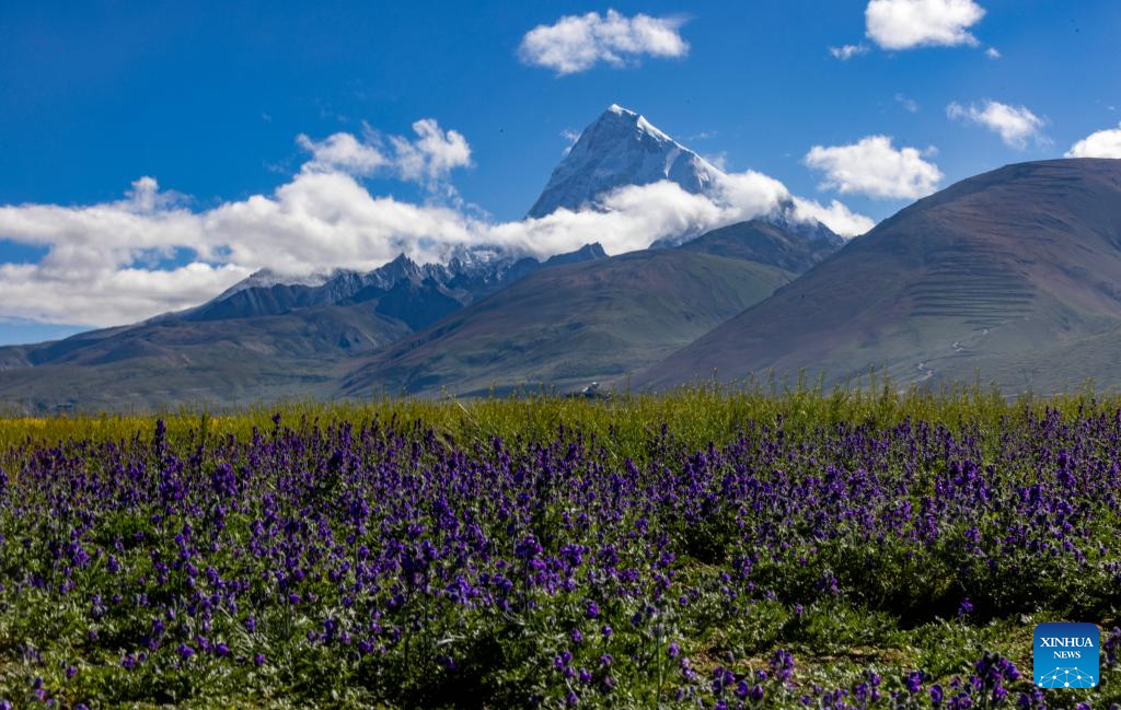 Scenery of Mount Chomolhari in China's Xizang