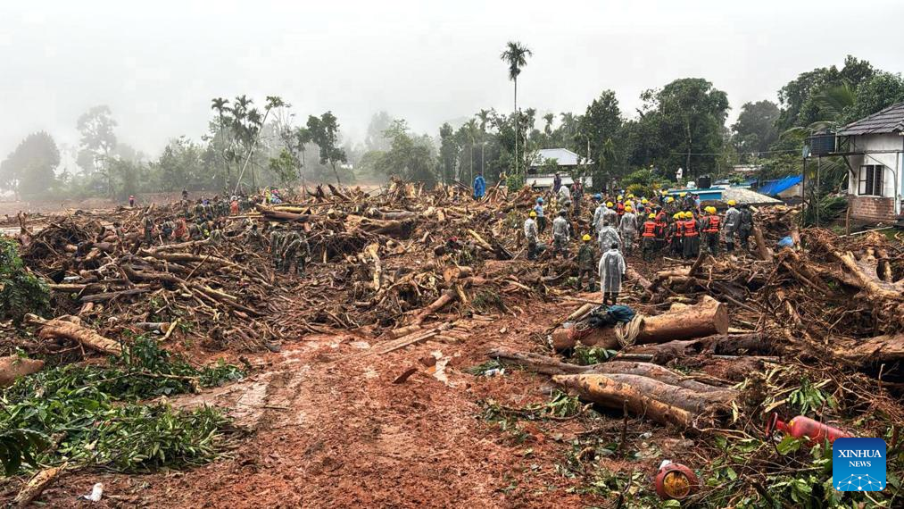 India's landslides death toll rises to 256: minister