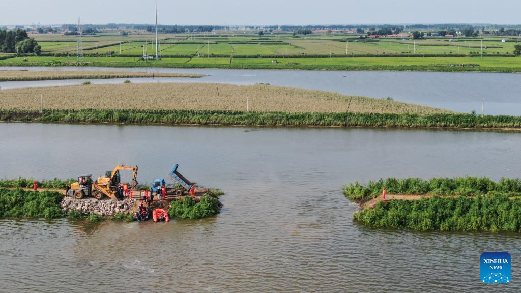 Rain-triggered floods lead to dike breach in China's Liaoning