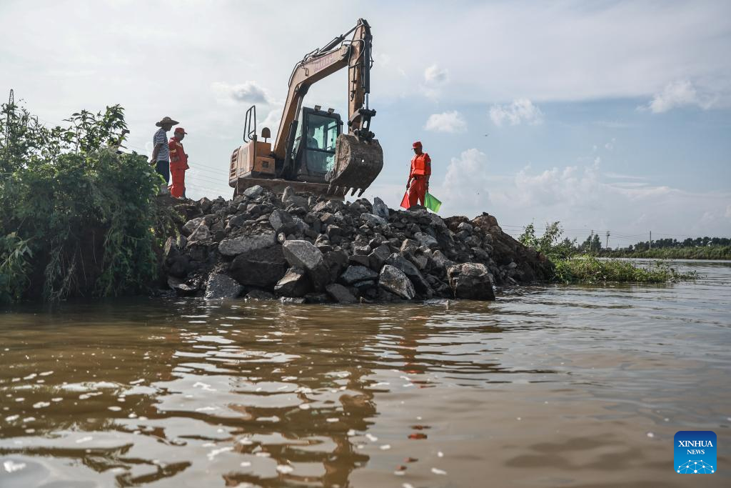 Rain-triggered floods lead to dike breach in China's Liaoning