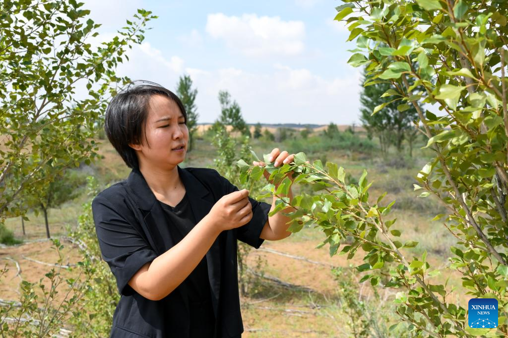 Desert tourism developed in parallel with ecological protection in Dalad Banner, N China