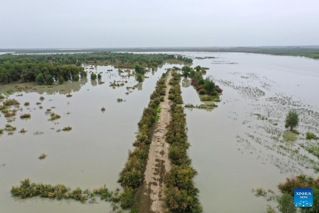 NW China's Xinjiang mobilizes emergency responding teams for flood control amid water level alert