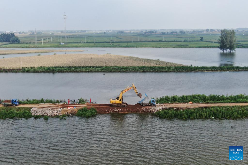 Dike breach sealed in China's Liaoning