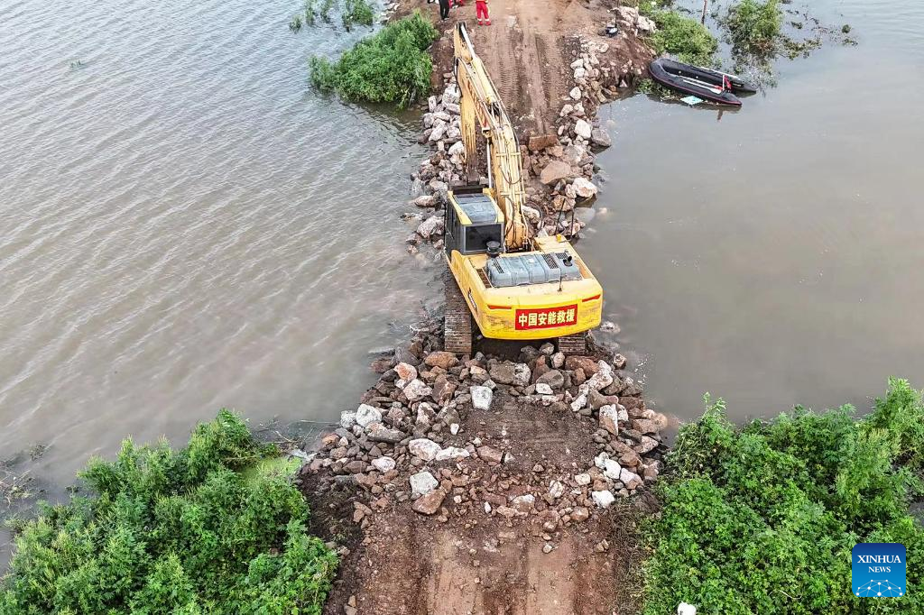 Dike breach sealed in China's Liaoning