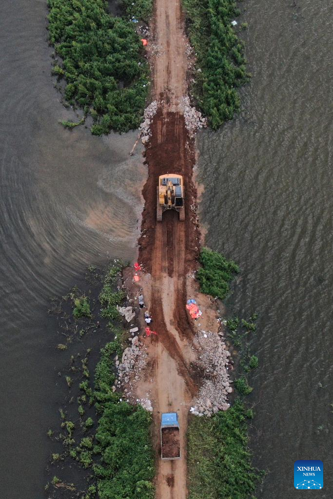 Dike breach sealed in China's Liaoning