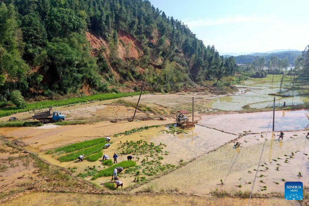 Communication, power supplies largely resume in flood-hit Chinese city