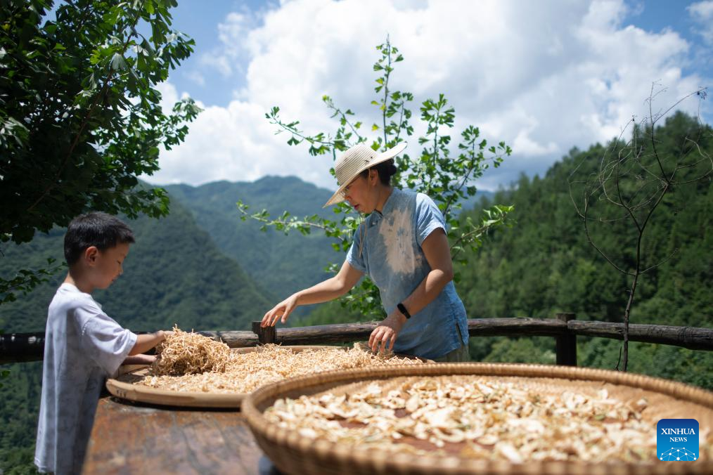 Tourism booms in Shennongjia Forest District, C China's Hubei