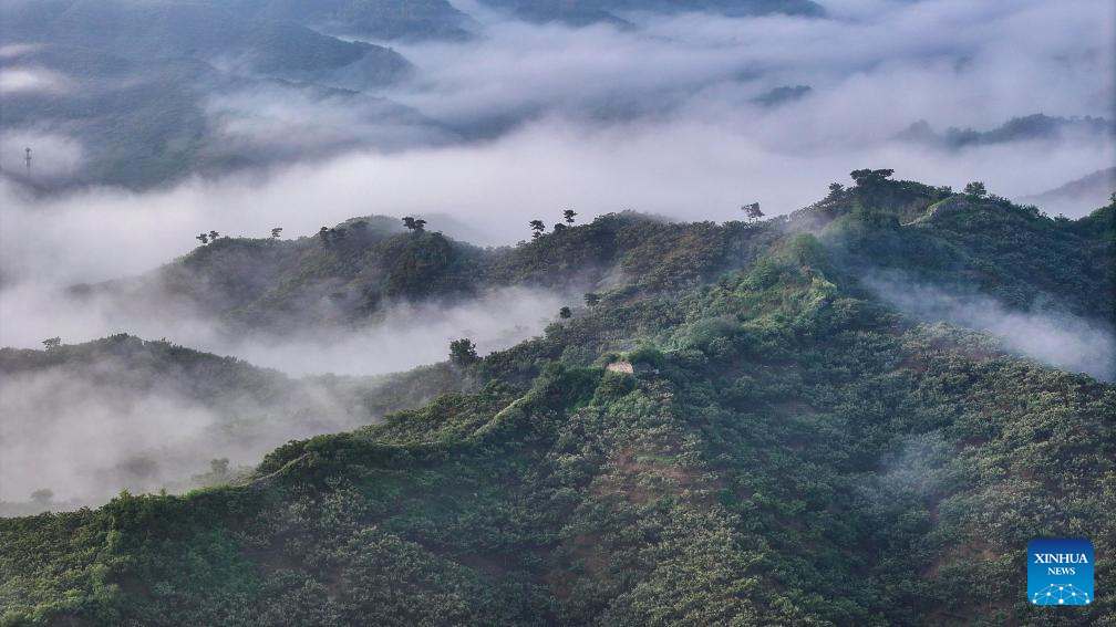 Scenery of Great Wall shrouded in clouds in Hebei