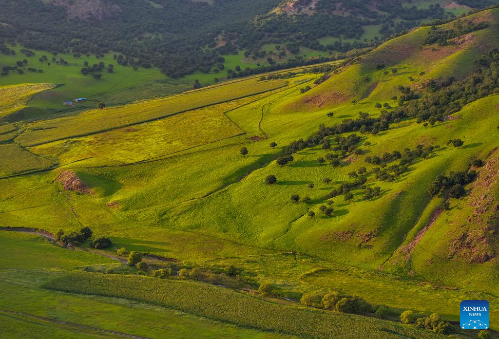 Sunset scenery at Wulanmaodu pasture in Inner Mongolia