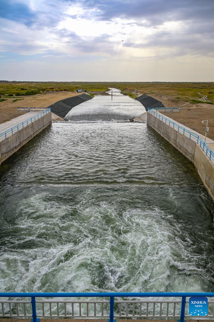 Xinjiang starts water diversion for China's longest inland river