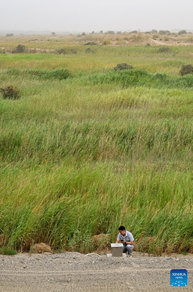 Xinjiang starts water diversion for China's longest inland river