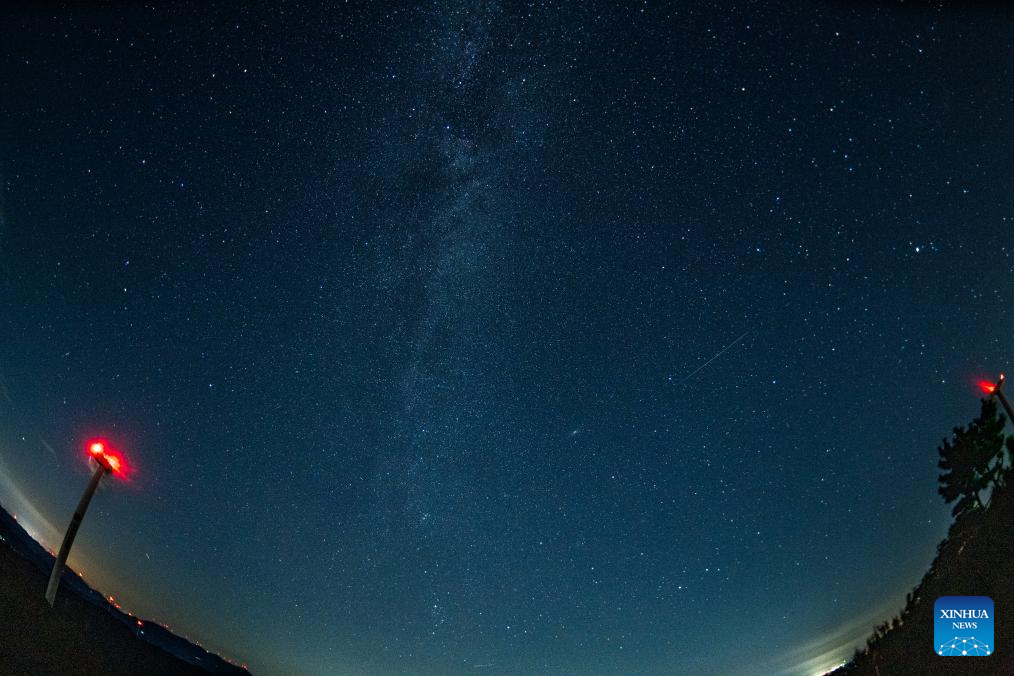 In pics: Perseid meteor shower over Wuhan, C China's Hubei