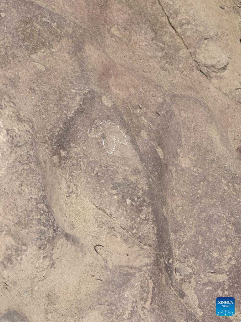 Small dinosaur footprints found in northwest China