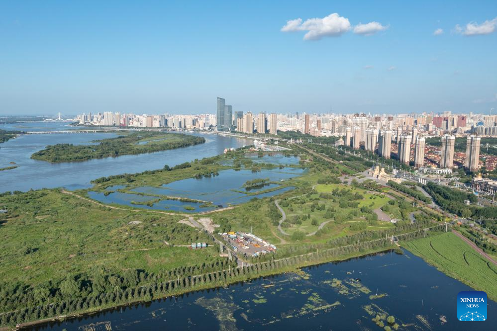 A glimpse of ecological security barrier in NE China