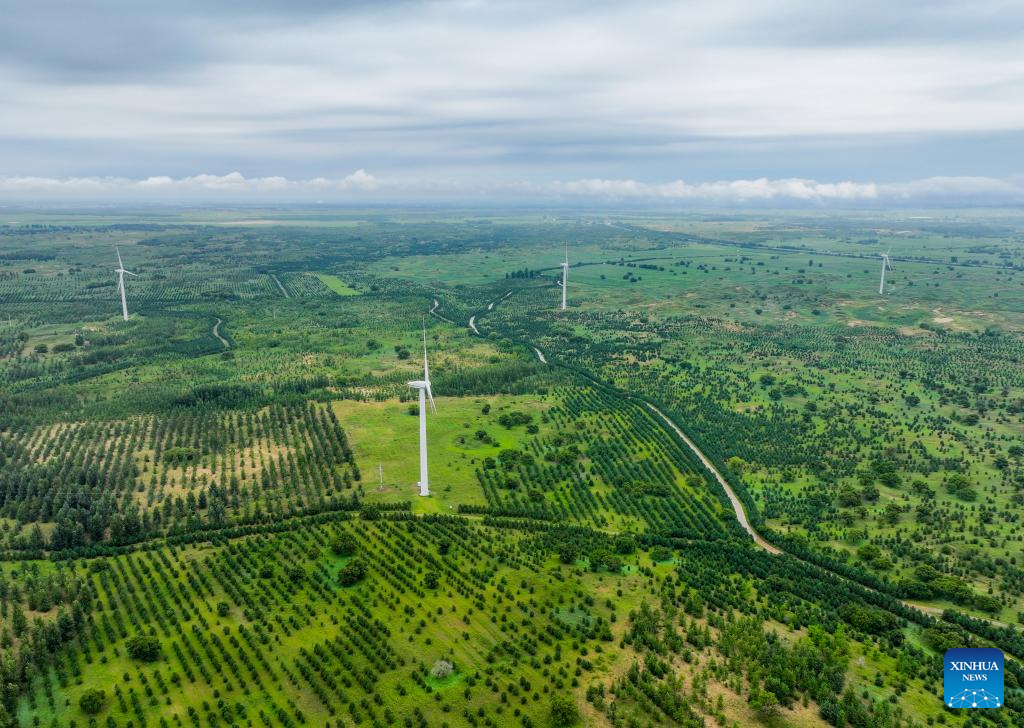 A glimpse of ecological security barrier in NE China