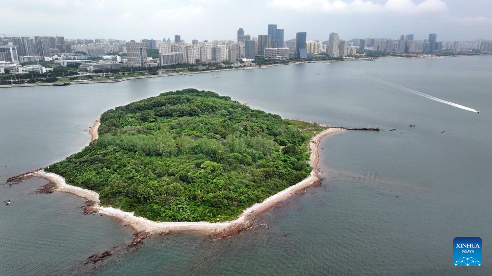 Shandong sees maritime ecological restoration progress