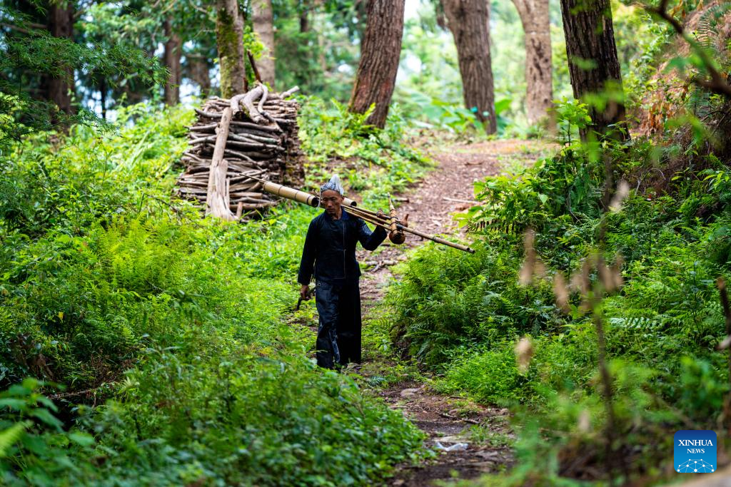 In pics: beautiful scenery, joyful life in Basha Village, SW China's Guizhou