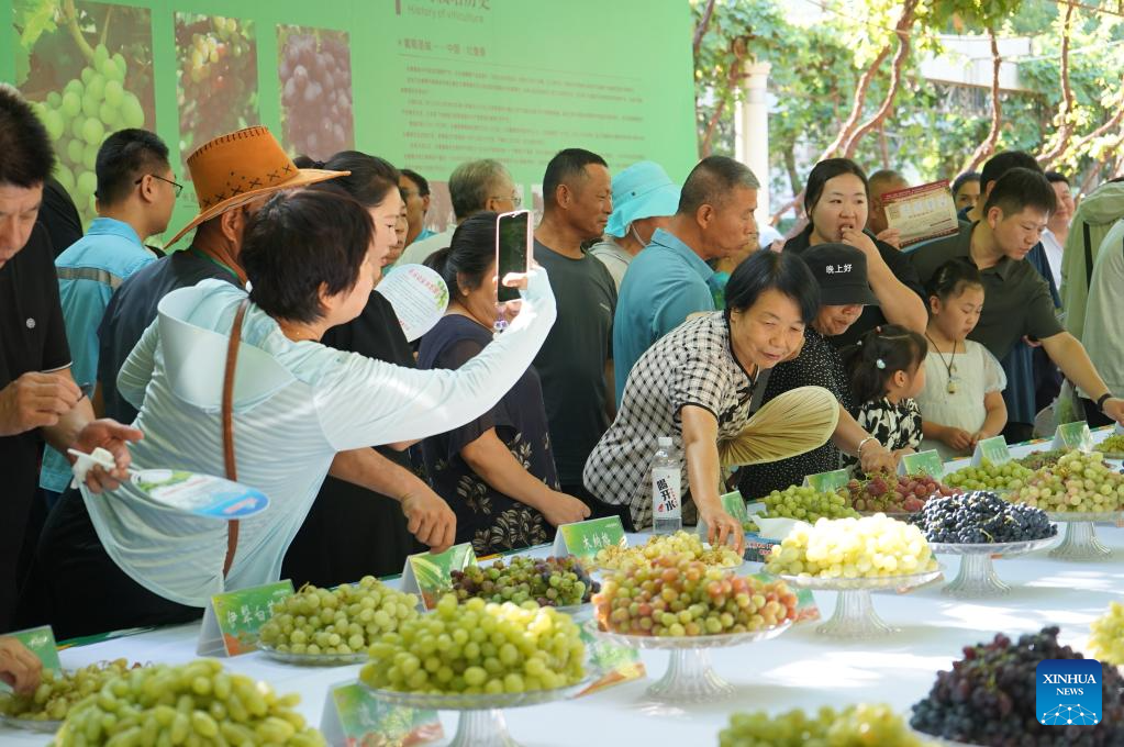 Turpan grape festival kicks off in Xinjiang