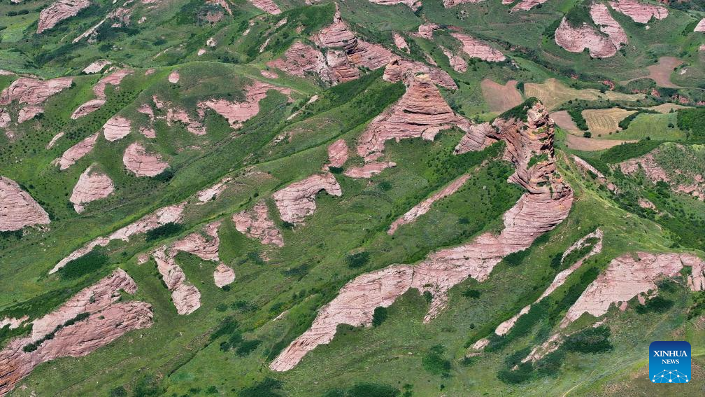 Scenery of Danxia landform in Ningxia, NW China