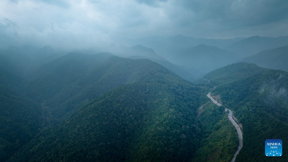 View of Liupanshan National Forest Park shrouded in clouds in Ningxia, NW China