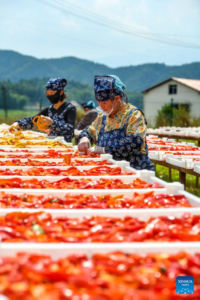 Villagers dry agricultural products in county of Yichun, E China