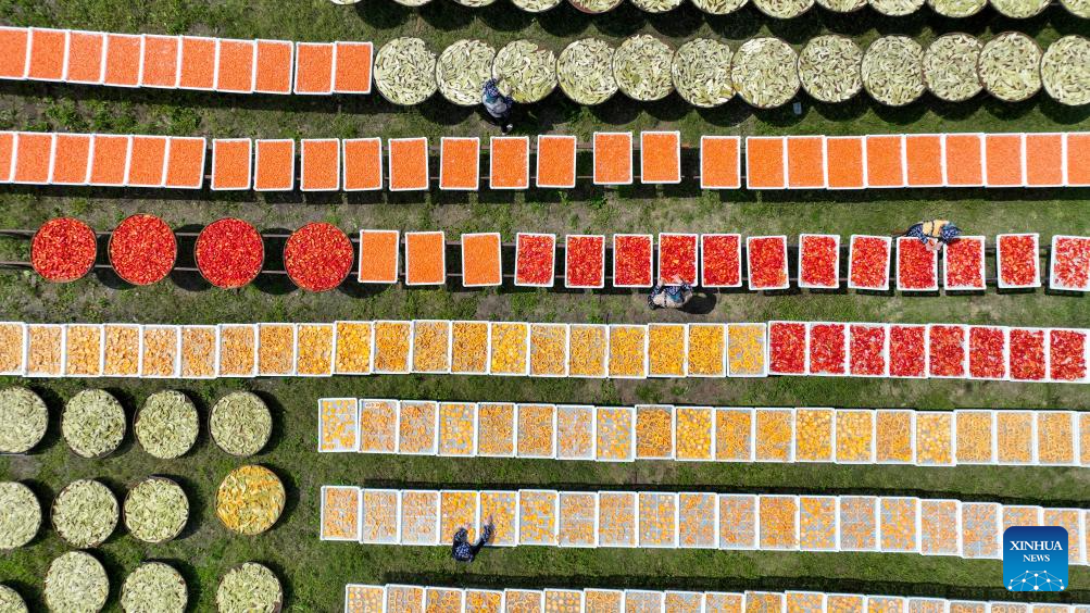 Villagers dry agricultural products in county of Yichun, E China