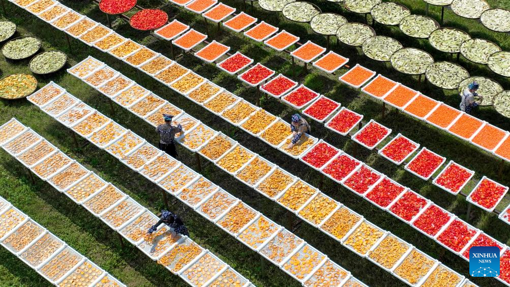 Villagers dry agricultural products in county of Yichun, E China