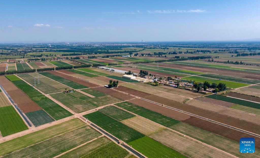 Qujiang in NW China develops large-scale vegetable planting industry supplying Greater Bay Area