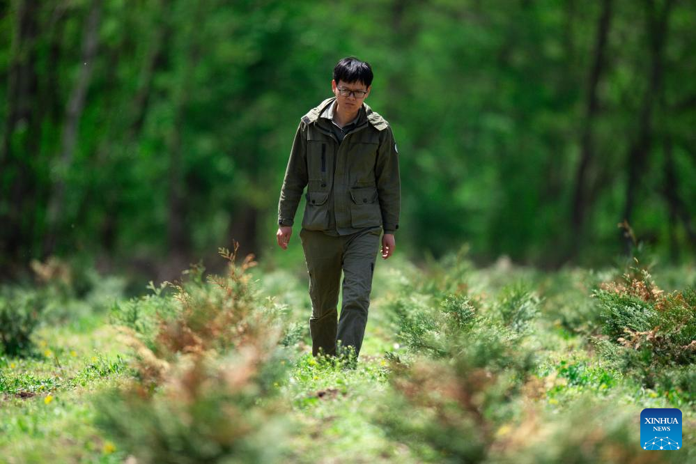 Across China: Guarding greenery on northeast China's Changbai Mountain