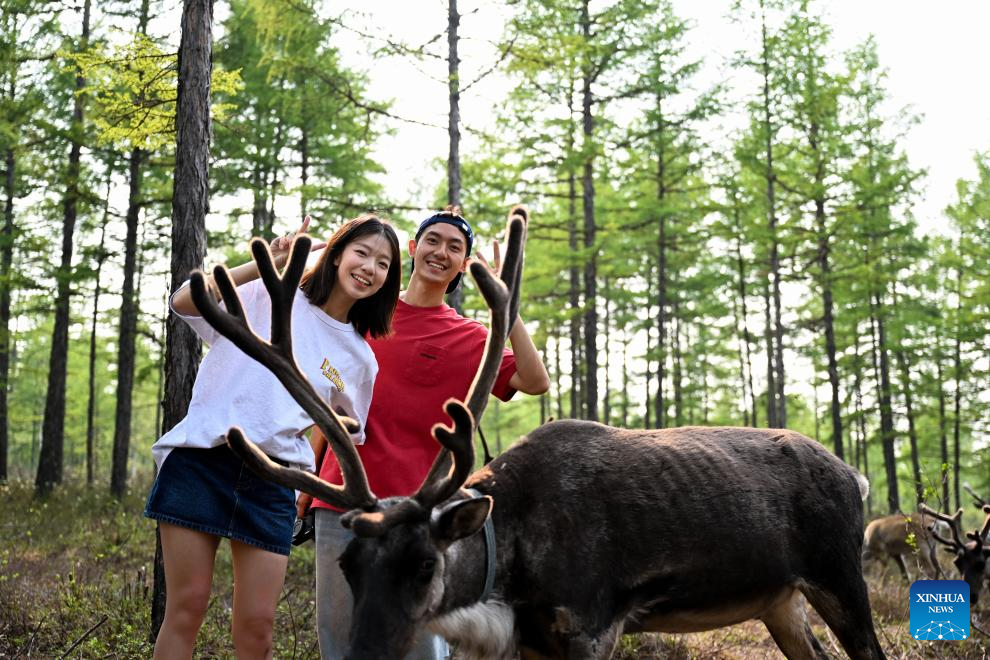 Northeast China attractions turn cool resources into summer tourism gold