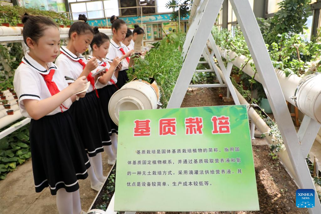 Schools across China host activities to mark start of new semester