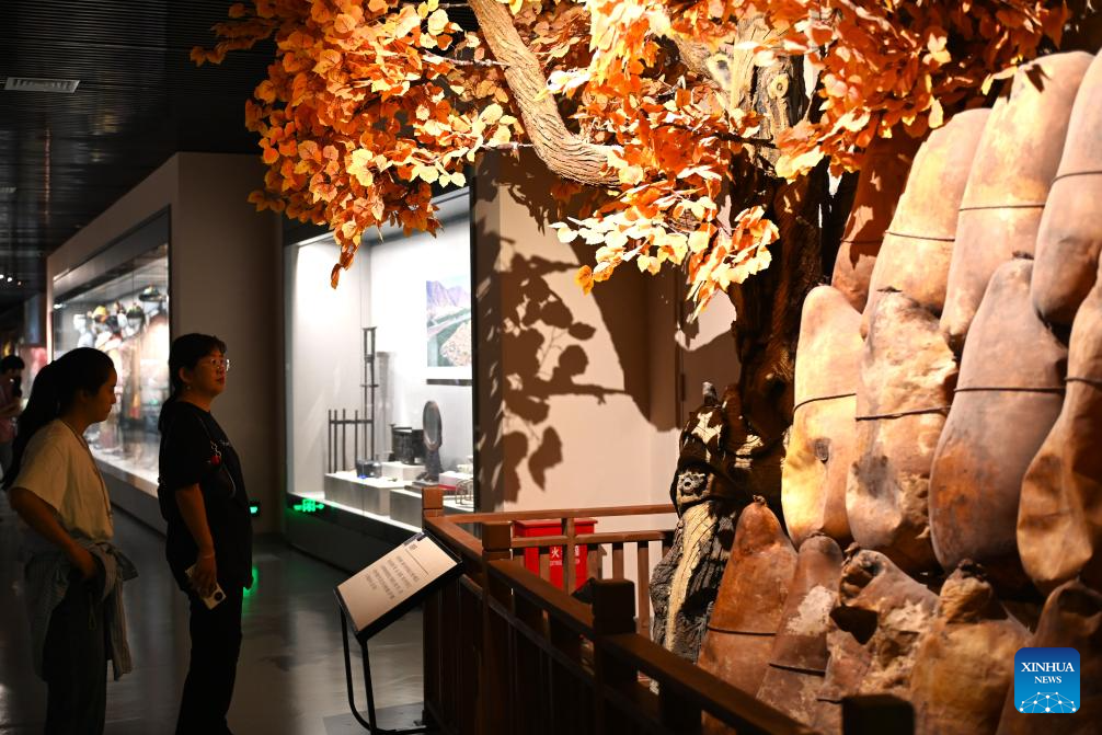 Visitors experience rich culture and history of Ningxia in Ningxia Museum