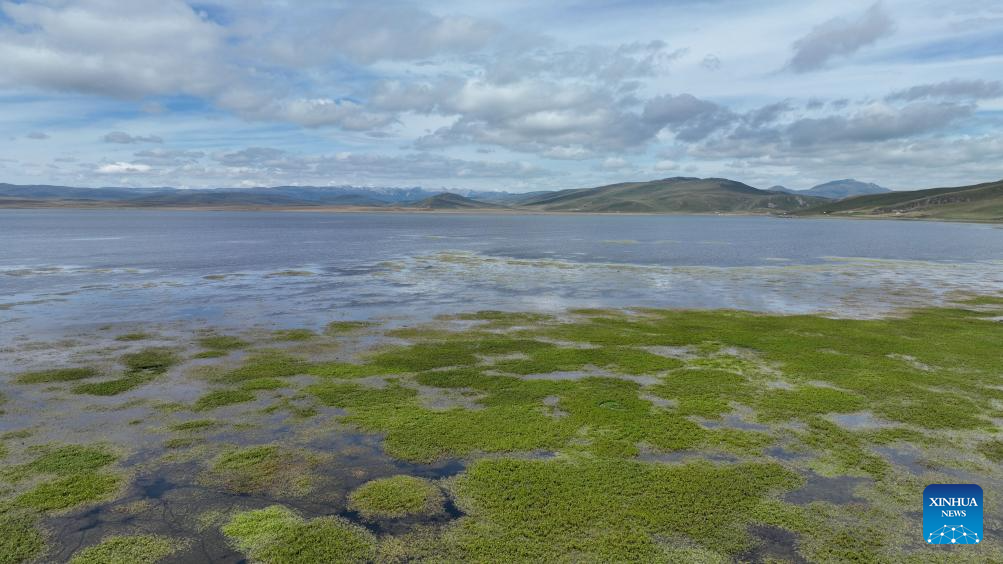 Scenery of Gahai Lake wetland in NW China's Gansu