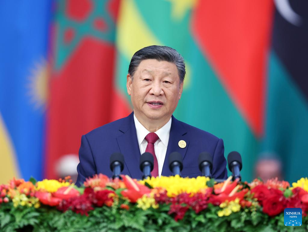 Xi proposes partnership actions to jointly advance modernization with Africa