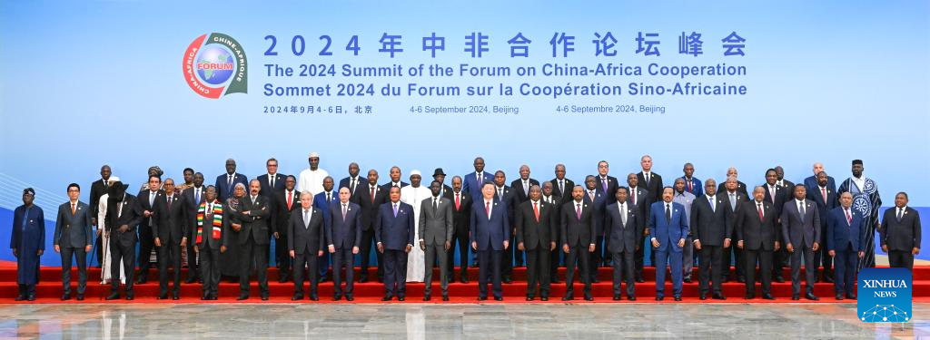 Xi proposes partnership actions to jointly advance modernization with Africa