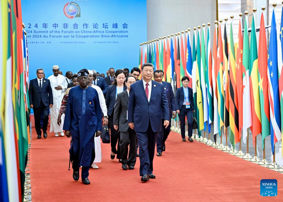 Xi proposes partnership actions to jointly advance modernization with Africa