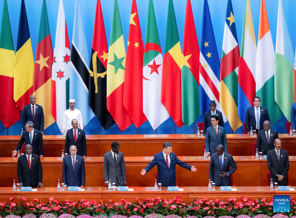 Xi proposes partnership actions to jointly advance modernization with Africa