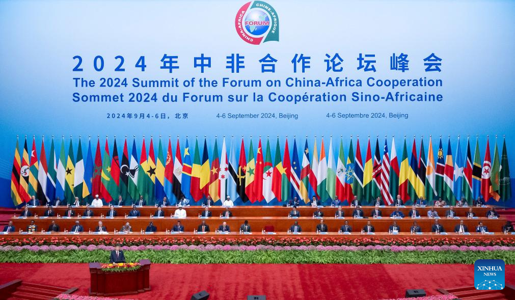 Xi proposes partnership actions to jointly advance modernization with Africa