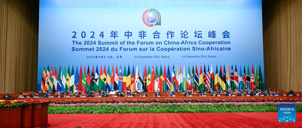 Xi proposes partnership actions to jointly advance modernization with Africa