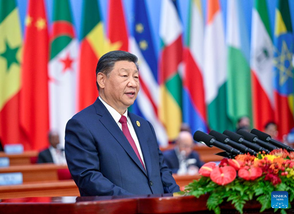 Xi proposes partnership actions to jointly advance modernization with Africa