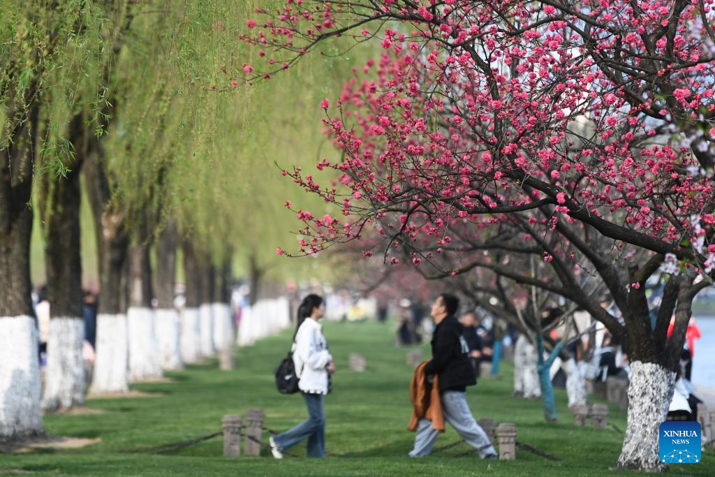 Air quality in Zhejiang province witnesses steady improvement