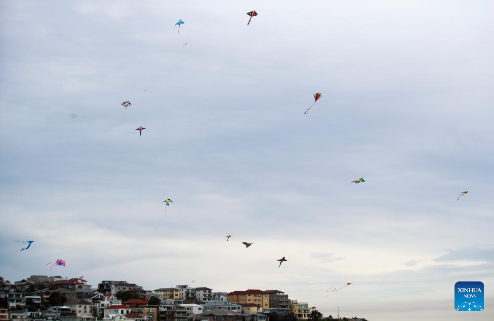 Festival of Winds 2024 held in Sydney, Australia