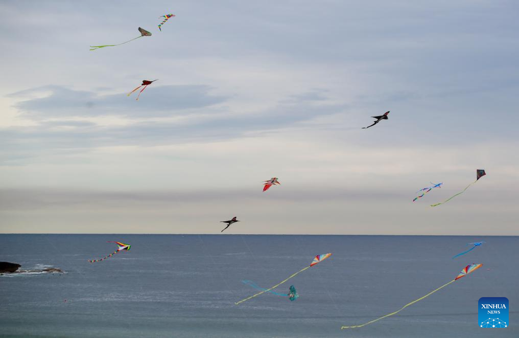 Festival of Winds 2024 held in Sydney, Australia