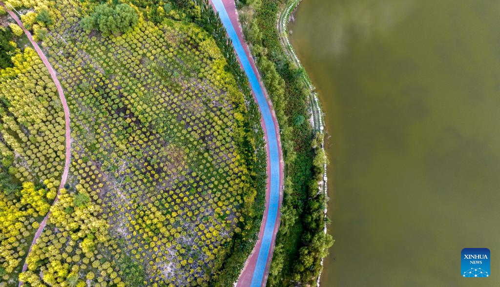 Scenery of Yinchuan, NW China's Ningxia