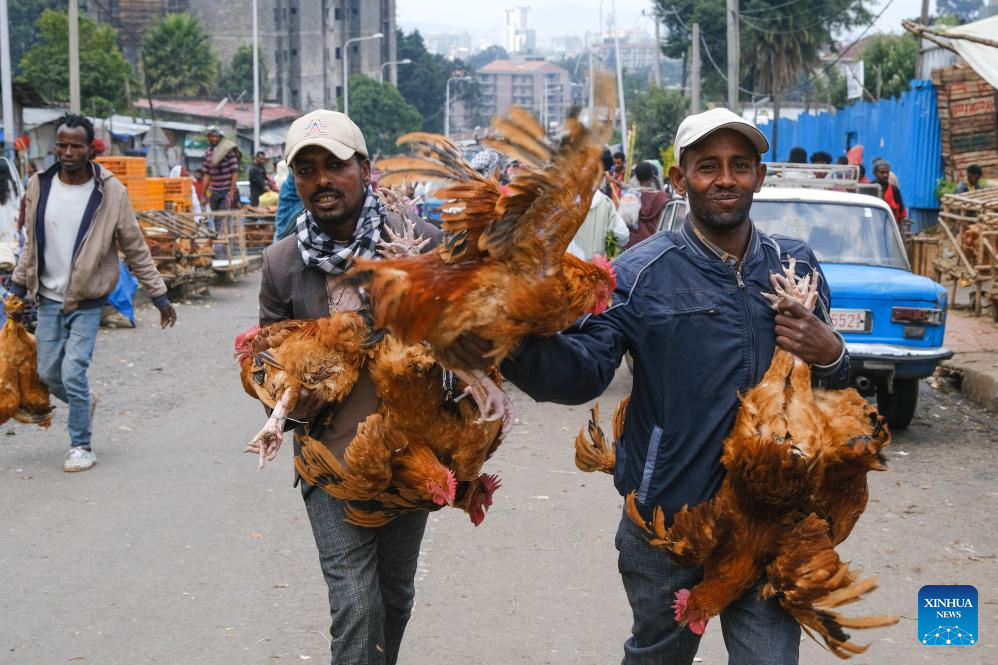 Consumers enjoy stable market in celebration of Ethiopian New Year