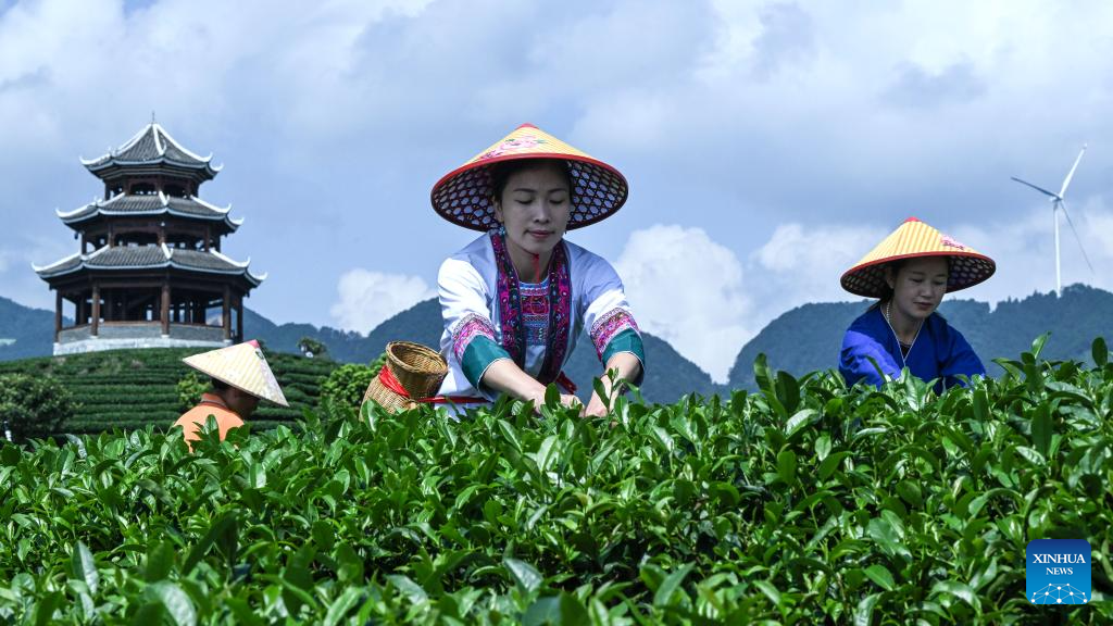 Pic story: inheritor of Grand Song of Dong ethnic group in Guangxi