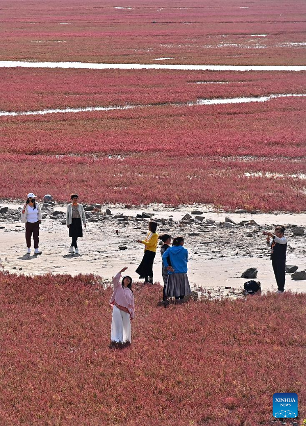 View of Red Beach scenic area in China's Liaoning