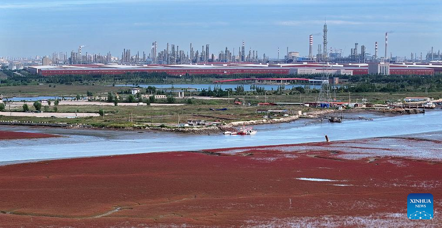 View of Red Beach scenic area in China's Liaoning